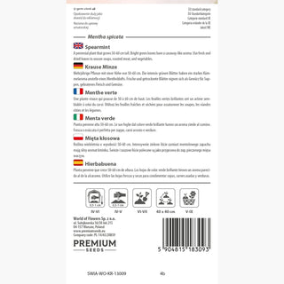 Krause Minze - Einzigartiger Geschmack und Aroma, hervorragend für Topfkultur - Mentha spicata