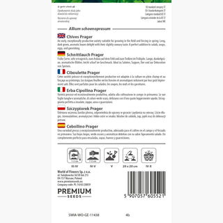 Schnittlauch - Prager - Früh, Zart, Winterhart