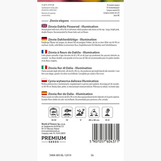 Zinnie Dahlienblütige - Illumination - Intensiv Warme Farbtöne - Zinnia elegans