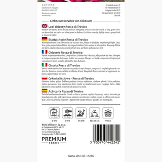 Blattzichorie Rossa di Treviso - Feiner Geschmack, ideal roh und geschmort - Cichorium intybus var. foliosum