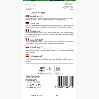 Spinat Asta F1 - Reichliche Ernte, resistent gegen niedrige Temperaturen - Spinacia oleracea