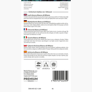 Blattzichorie Bianca di Milano - Ideal für frische Rohkost und Salate - Cichorium intybus var. foliosum