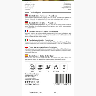 Zinnie Dahlienblütige - Polar Bear - Reinweiß, Gefüllte Sorte - Zinnia elegans