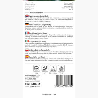 Wassermelone Sugar Baby - Geschmacksexplosion, süßer Gartenhit - Citrullus lanatus