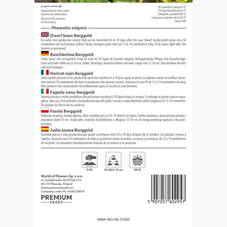 Buschbohne Berggold - Hoher Ertrag, Schnelle Ernte