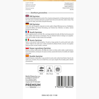 Dill Sprinter - Aromatisch, saftige Blätter, ertragreich