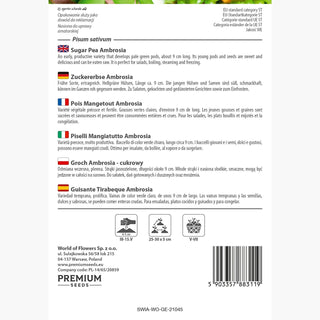 Zuckererbse Ambrosia - Frühe Ernte, außergewöhnliche Süße - Pisum sativum