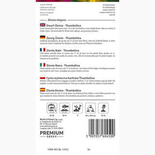 Zwerg Zinnie - Thumbelina - Kompakte Sorte Ideal Für Balkonkästen - Zinnia elegans