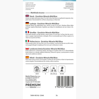 Levkoje - Excelsior Miracle Mid Blue - Reich Blühend, Sommerlich Duftend - Matthiola incana