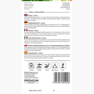 Stiefmütterchen - Laura - Wunderschöne Farbe, Perfekt Für Balkonkästen - Viola ×wittrockiana