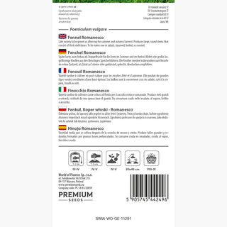 Fenchel Romanesco - Gigantische, fleischige Knollen, ideal zum Braten und Kochen - Foeniculum vulgare