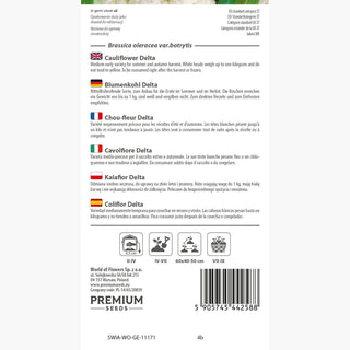 Blumenkohl Delta - Blitzschnelle Ernte, Röschengewicht bis zu 1 kg - Brassica oleracea var. botrytis