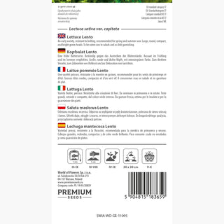 Kopfsalat Lento - Dichte Große Grüne Köpfe, Lange Ernte