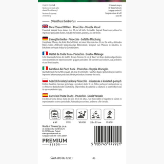 Zwerg Bartnelke - Pinocchio - Gefüllte Mischung - Üppige Zwergblütenpracht - Dianthus barbatus