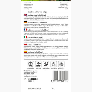 Eichblattsalat - Salad Bowl - Feiner Geschmack, Mehrfacher Ernteertrag