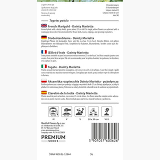 Studentenblume - Dainty Marietta - Blüht Bis Zum Ersten Frost - Tagetes patula