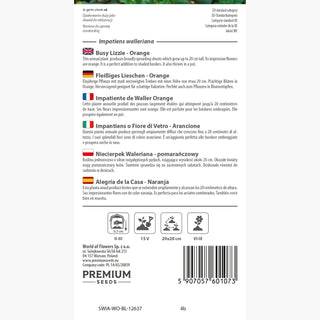 Fleißiges Lieschen - Orange - Attraktiver Farbkontrast - Impatiens walleriana