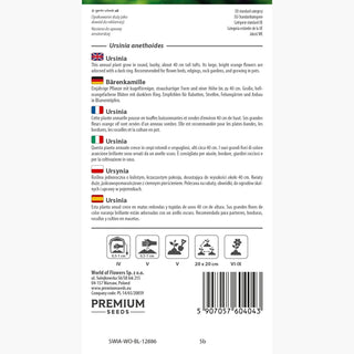 Bärenkamille - Kompakt Wachsende Einjährige - Ursinia anethoides