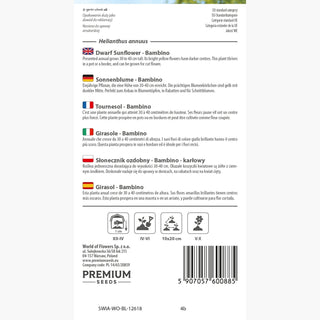 Sonnenblume - Bambino - Perfekt Goldgelb Für Töpfe Und Balkone - Helianthus annuus