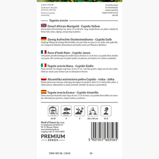 Zwerg Aufrechte Studentenblume - Cupido Gelb - Sonniger Farbtupfer Im Garten - Tagetes erecta