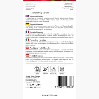 Tomate Herodes - Kräftiger Wuchs, Hoher Ertrag, Große Früchte