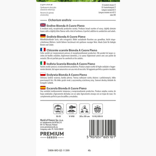 Endivie - Bionda A Cuore Pieno - Italienische Sorte Mit Zartem Geschmack - Cichorium endivia