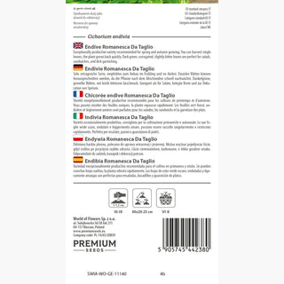 Endivie Romanesca Da Taglio - Außergewöhnlich lecker – milde, leicht bittere Note - Cichorium endivia