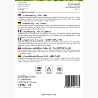 Salat Maiköni - Saatband - Früh, Kopfbildend, Saftig, Robust