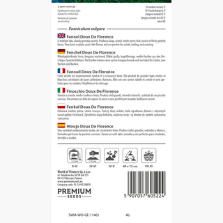 Fenchel - Doux De Florence - Aromatischer Fenchel - Foeniculum vulgare
