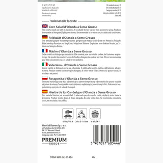 Feldsalat - d'Olanda a Seme Grosso - Beliebte Sorte, Nussiges Aroma, Kältetolerant - Valerianella locusta