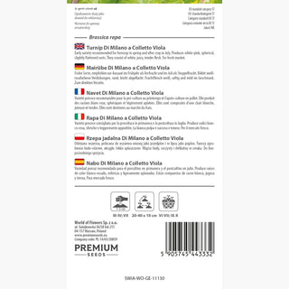 Mairübe Di Milano a Colletto Viola - Früh, mit saftigem, weißem Fruchtfleisch - Brassica rapa