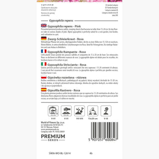 Zwerg-Schleierkraut - Rosa - Warmer Pastellfarbener Beetrand - Gypsophila repens