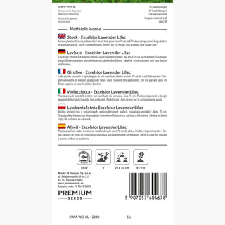 Levkoje - Excelsior Lavender Lilac - Romantische Blütenpracht - Matthiola incana