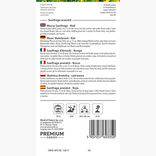 Moos Steinbrech - Rot - Immergrüne Blätter, Ideal Für Steingärten - Saxifraga arendsii