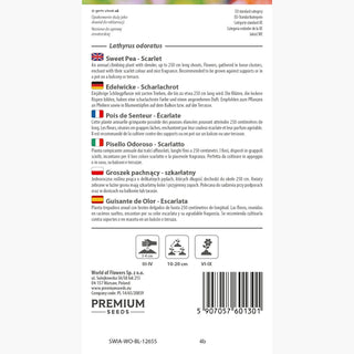 Edelwicke - Scharlachrot - Scharlachrote Blütenpracht Für Pergolen - Lathyrus odoratus