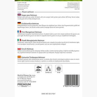 Zuckererbse Hetman - Zarte, saftige Hülsen, ideal für Salate - Pisum sativum