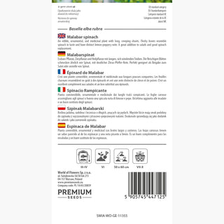 Malabarspinat - Kletterpflanze, die mit Geschmack und Aussehen begeistert - Basella alba rubra