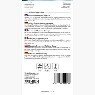 Sonnenblumen Autumn Beauty - Blühender Wahnsinn! - Helianthus annuus