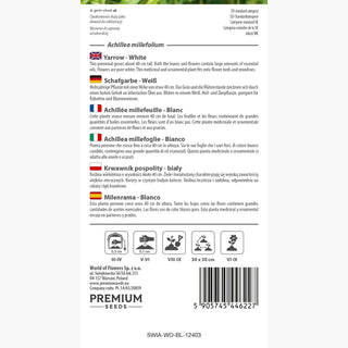 Schafgarbe Weiß - Sanftes Weiß Für Beete Und Wiesen - Achillea millefolium