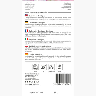 Landnelke - Benigna - Ideal Für Schnittblumen - Dianthus caryophyllus