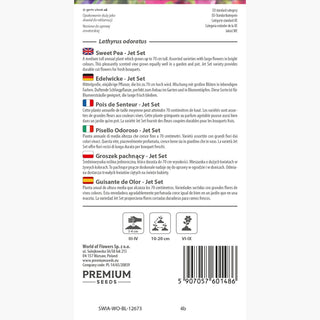 Edelwicke - Jet Set - Perfekt Für Sonnige Standorte - Lathyrus odoratus