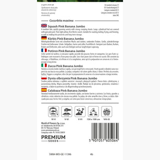 Kürbis - Pink Banana Jumbo - Ertragreiche Und Zierende Sorte