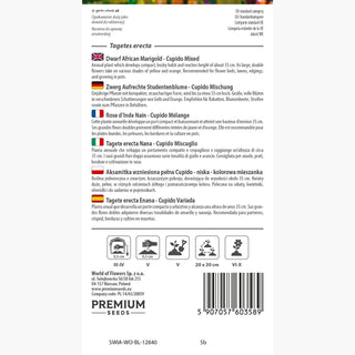 Zwerg Aufrechte Studentenblume - Cupido Mischung - Bunte Mischung, Beliebter Beetrend - Tagetes erecta