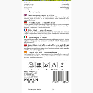 Studentenblume - Legion of Honour - Gold Mit Bordeauxrotem Akzent - Tagetes patula