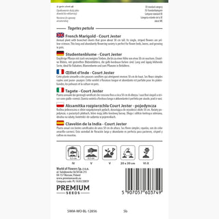 Studentenblume - Court Jester - Lange Und Üppige Blüte - Tagetes patula