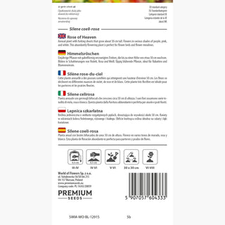 Himmelsröschen - Pflegeleicht, Besonders Dekorativ - Silene coeli-rosa