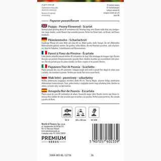 Päonienmohn - Scharlachrot - Mit Üppigen Roten Blütenblättern - Papaver paeoniflorum