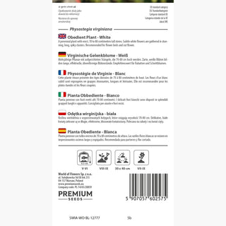 Virginische Gelenkblume - Weiß - Zarte Schönheit, Natürlicher Gartenzauber - Physostegia virginiana