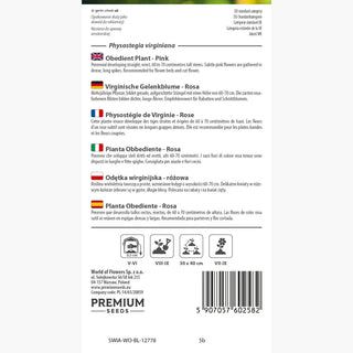 Virginische Gelenkblume - Rosa - Elegante Mehrjährige Komposition - Physostegia virginiana