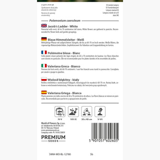 Blaue Himmelsleiter - Weiß - Natürliche Romantische Gartendekoration - Polemonium caeruleum